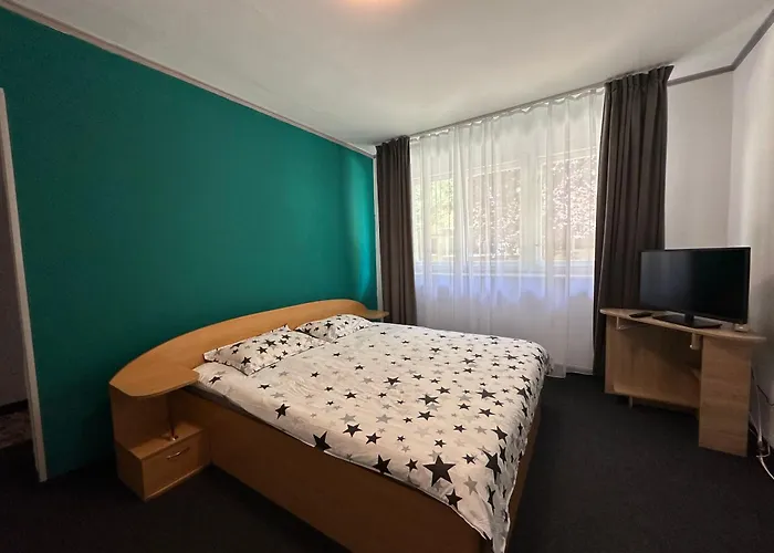 Apartament Pruneanu Central